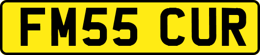 FM55CUR