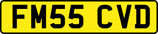 FM55CVD