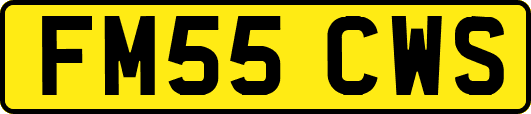 FM55CWS