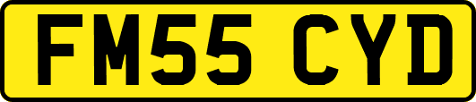 FM55CYD