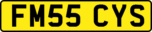 FM55CYS