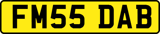 FM55DAB
