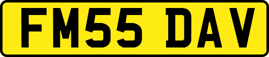 FM55DAV