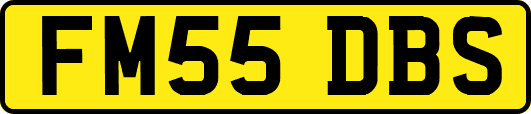 FM55DBS
