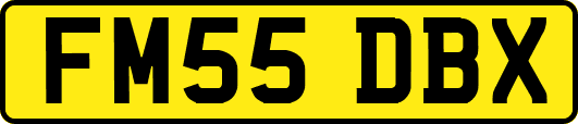 FM55DBX
