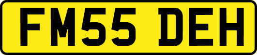 FM55DEH