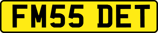 FM55DET