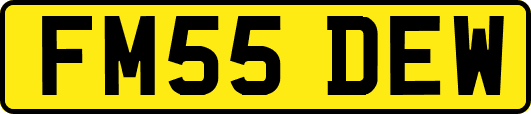 FM55DEW