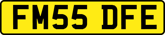 FM55DFE