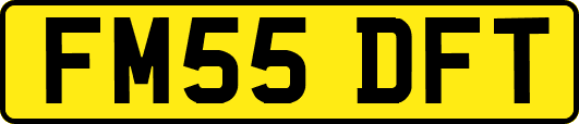 FM55DFT