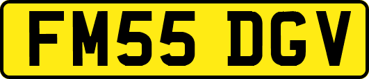 FM55DGV