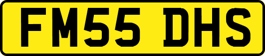 FM55DHS
