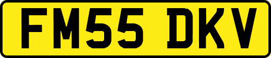 FM55DKV