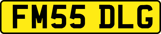FM55DLG