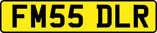 FM55DLR