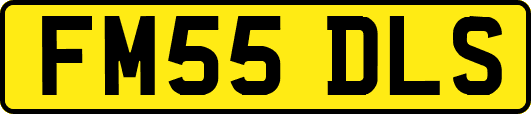FM55DLS