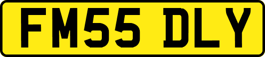 FM55DLY