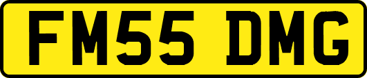 FM55DMG