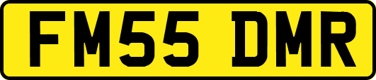 FM55DMR