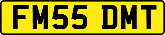 FM55DMT