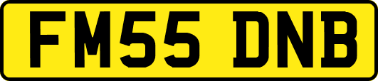 FM55DNB