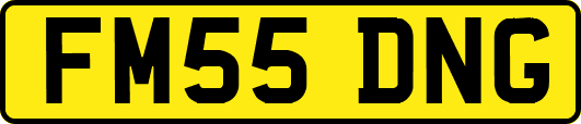 FM55DNG
