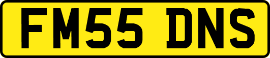 FM55DNS