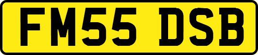 FM55DSB