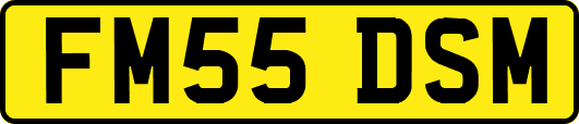 FM55DSM