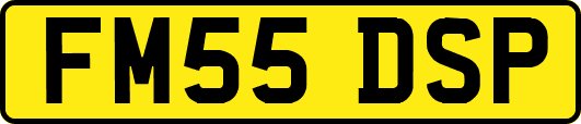 FM55DSP