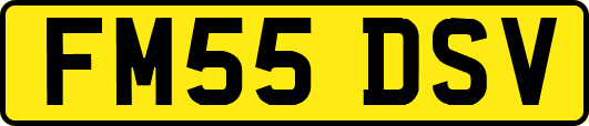 FM55DSV