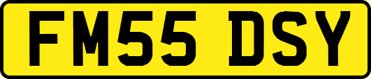 FM55DSY