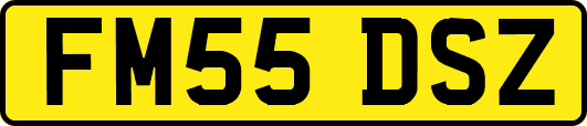 FM55DSZ