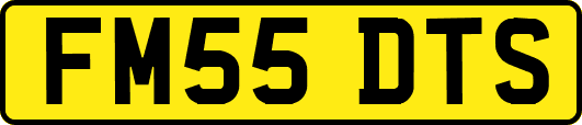 FM55DTS