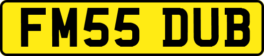 FM55DUB