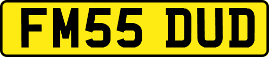 FM55DUD
