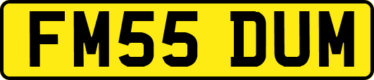 FM55DUM