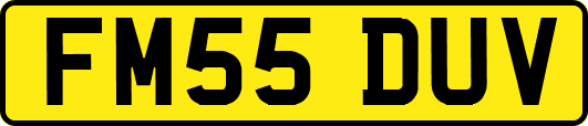 FM55DUV