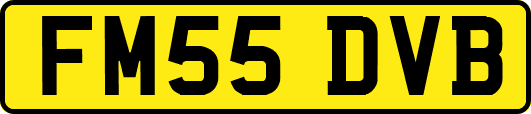 FM55DVB