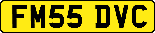 FM55DVC