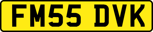 FM55DVK
