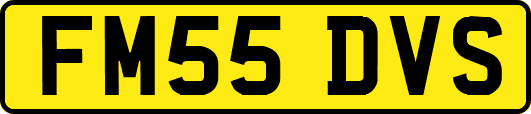 FM55DVS