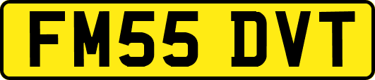 FM55DVT
