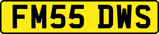 FM55DWS