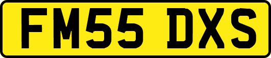 FM55DXS