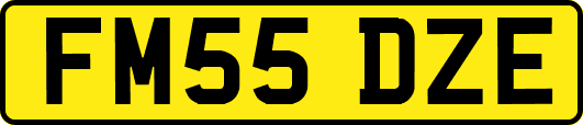 FM55DZE