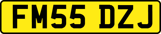 FM55DZJ