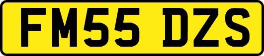 FM55DZS
