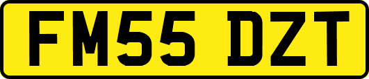 FM55DZT