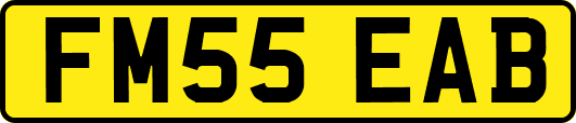 FM55EAB